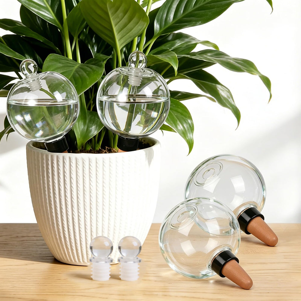 ZephyrBloom front view 4-pack globes shows elegant hydration and decorative appeal