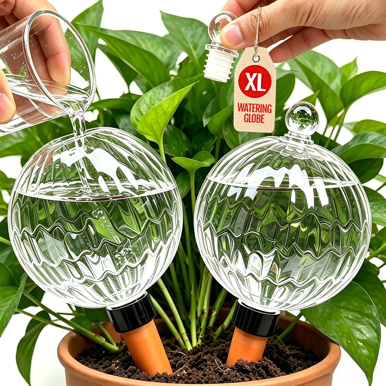 ZephyrBloom globe on balcony with plants illustrating outdoor and indoor versatility