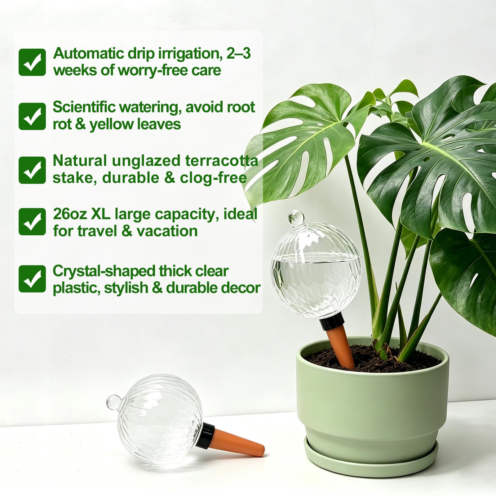 ZephyrBloom globe filled with water visible level for easy monitoring and fewer refills