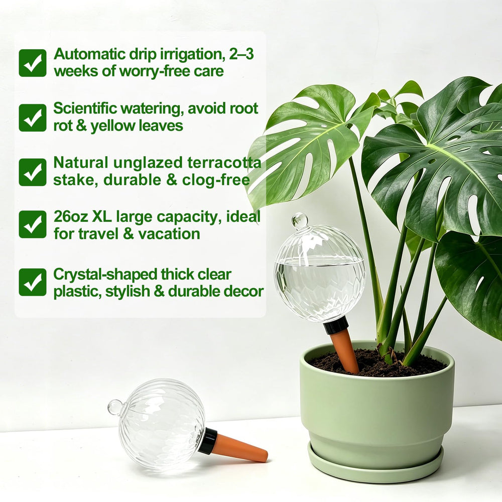 ZephyrBloom globe filled with water visible level for easy monitoring and fewer refills