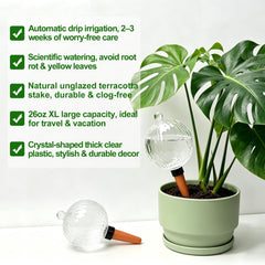 ZephyrBloom globe filled with water visible level for easy monitoring and fewer refills