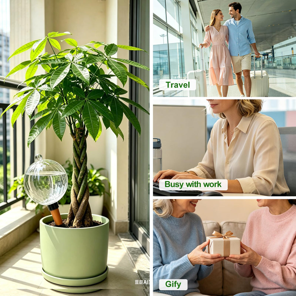 ZephyrBloom pair of globes styled beside plants proving decorative and practical gift