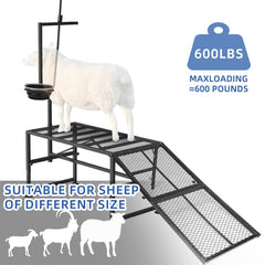 ZERTNROW feed tray and adjustable height demonstrating ergonomic benefit
