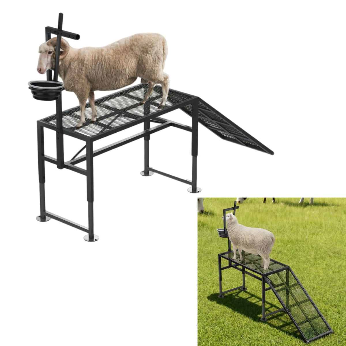 ZERTNROW front view of stand showing stable frame and capacity benefit