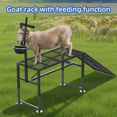 ZERTNROW ramp and mesh deck detail offering secure footing benefit