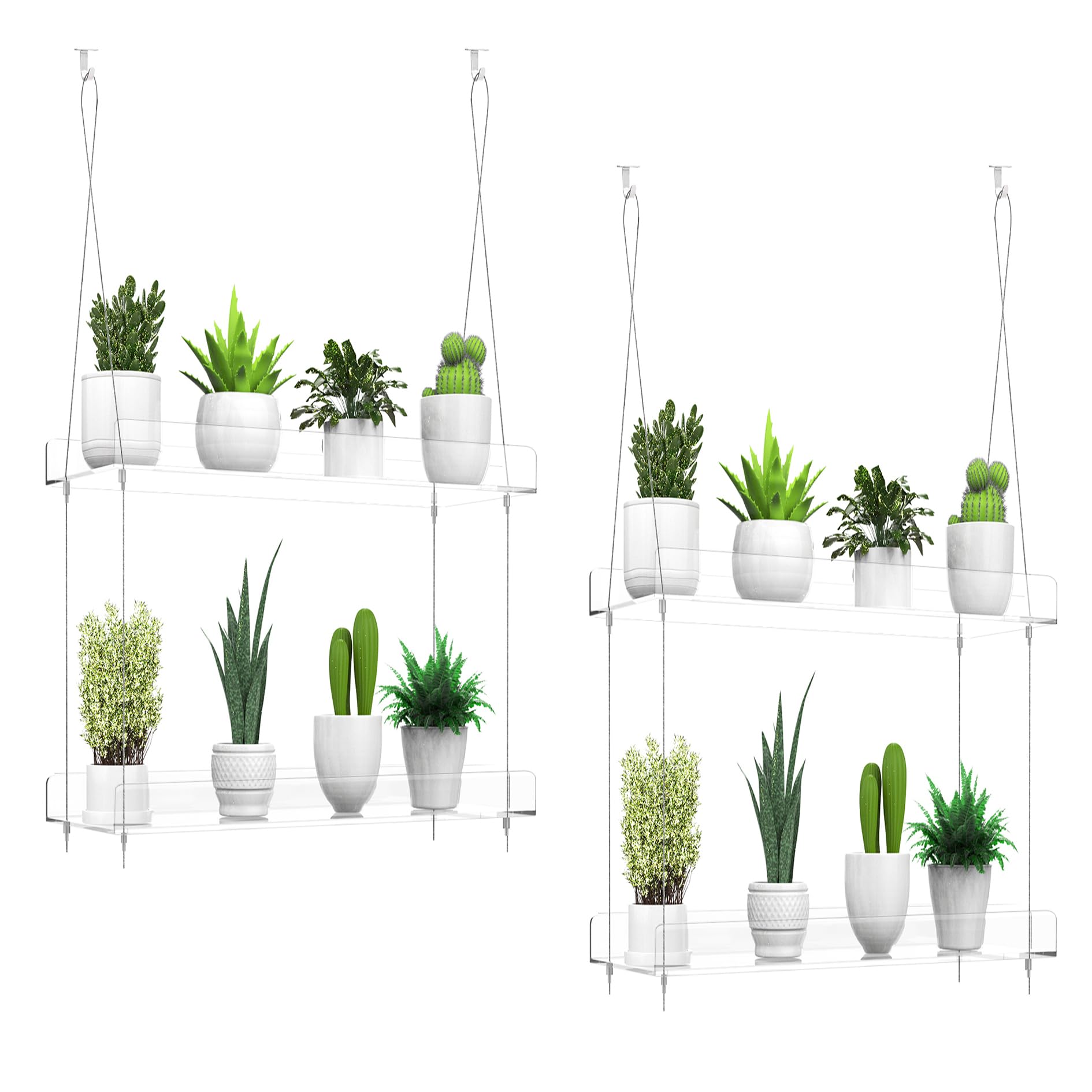 ZerzSemp front view of two clear hanging shelves showing tidy plant display and light
