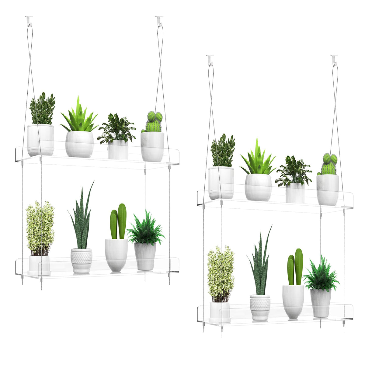 ZerzSemp front view of two clear hanging shelves showing tidy plant display and light