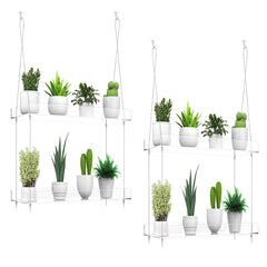ZerzSemp front view of two clear hanging shelves showing tidy plant display and light