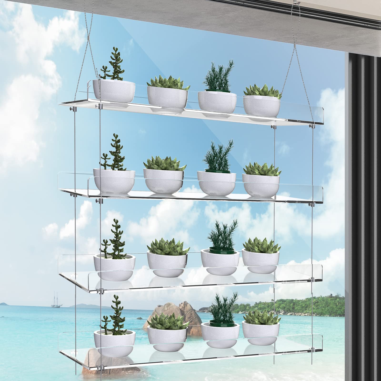 ZerzSemp in kitchen displaying herbs neatly for organized countertop freedom