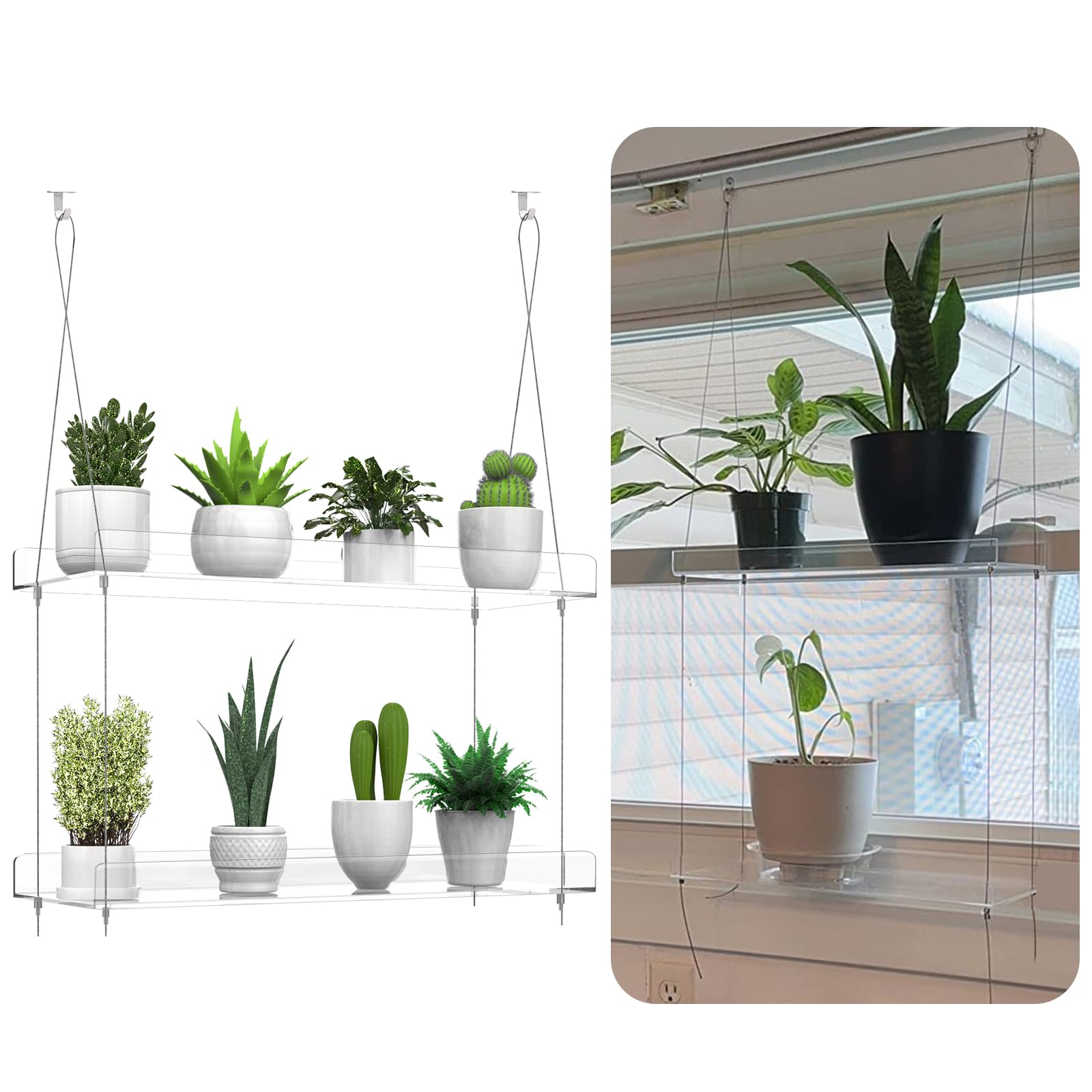 ZerzSemp window lifestyle shot with plants showing improved natural light benefit