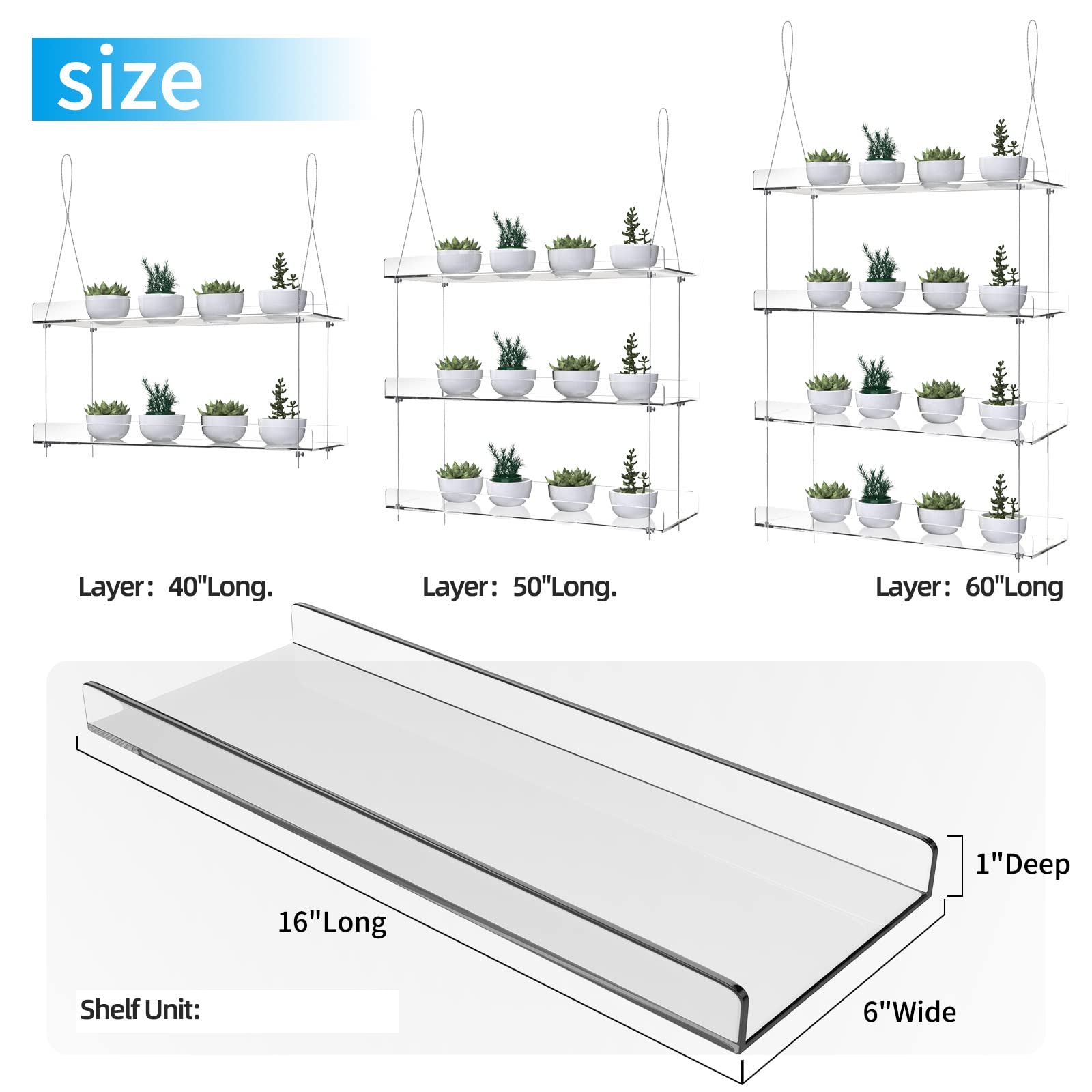 ZerzSemp shelves filled with potted plants in a sunny window maximizing light