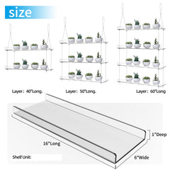 ZerzSemp shelves filled with potted plants in a sunny window maximizing light