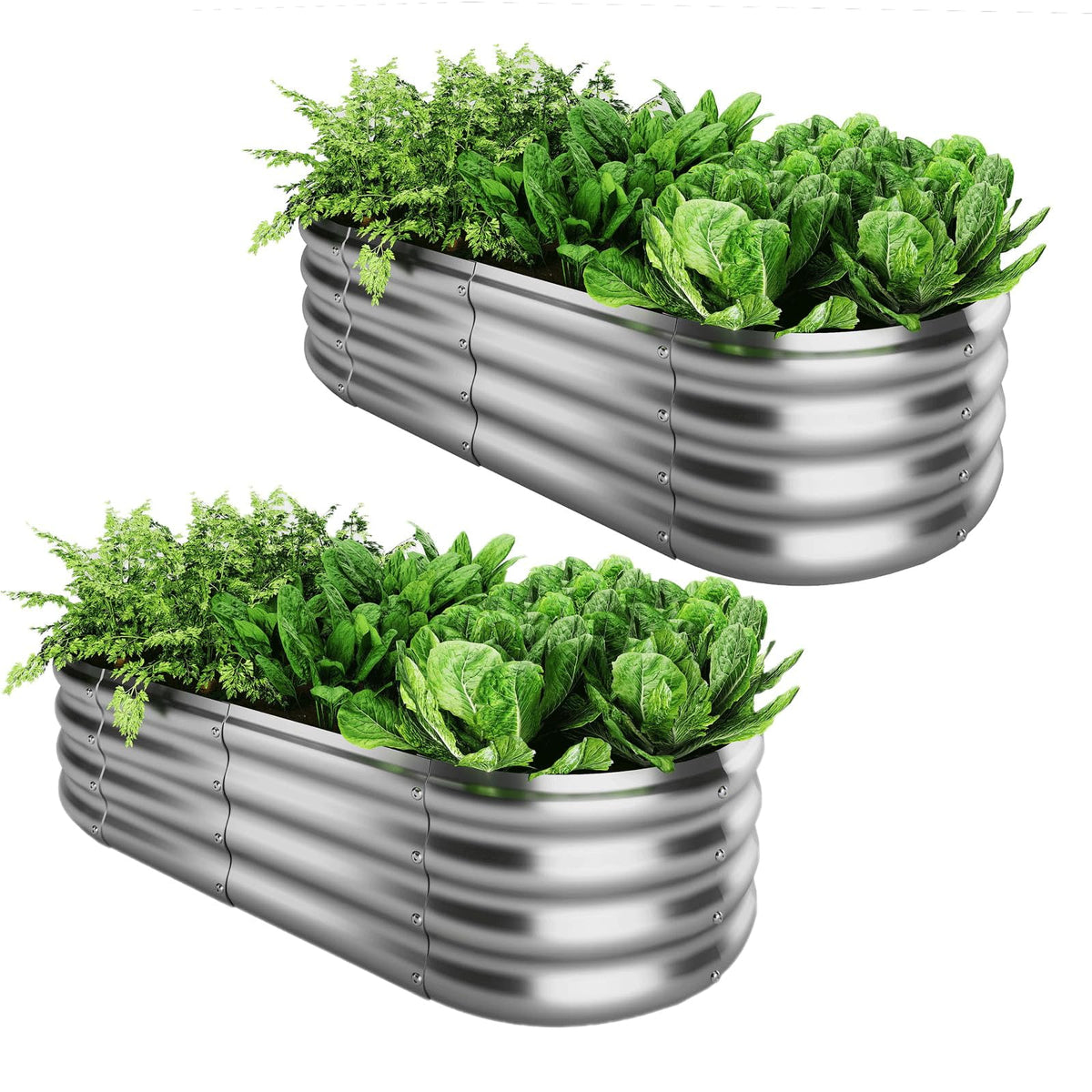 ZFHgarden front view of 4x2x1 ft galvanized planter showing sturdy construction and curb appeal