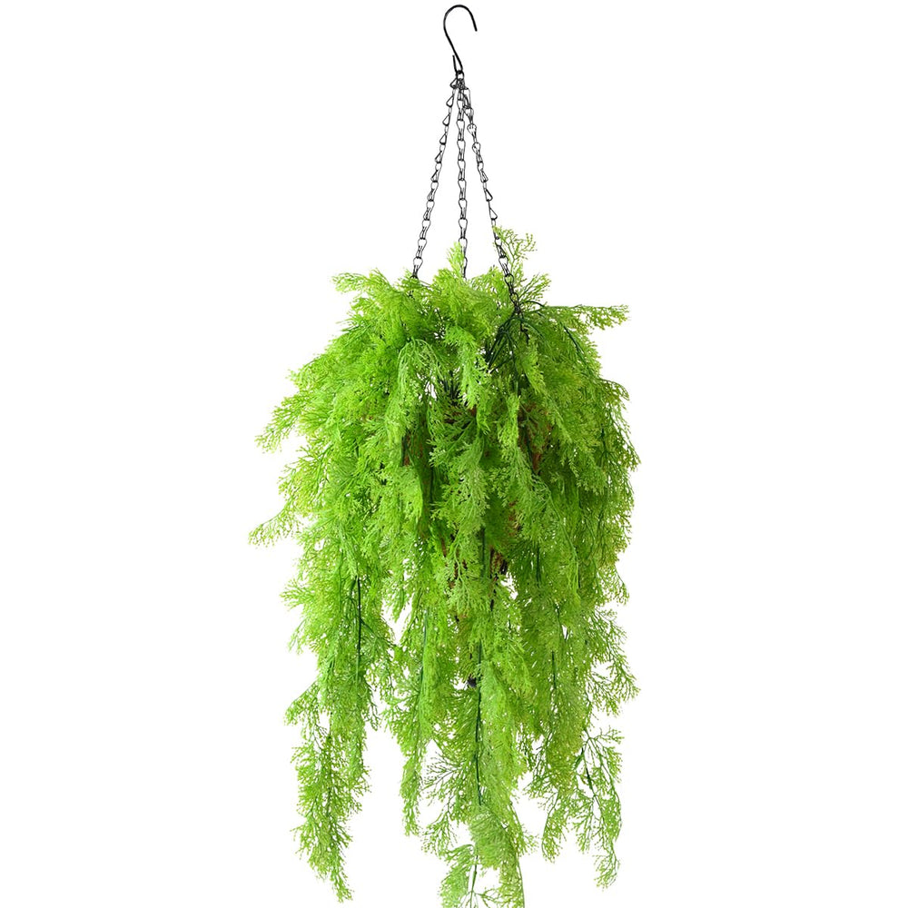 ZFProcess front view of hanging basket showing lush seaweed greenery and curb appeal
