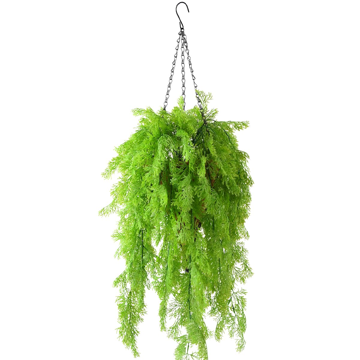 ZFProcess front view of hanging basket showing lush seaweed greenery and curb appeal