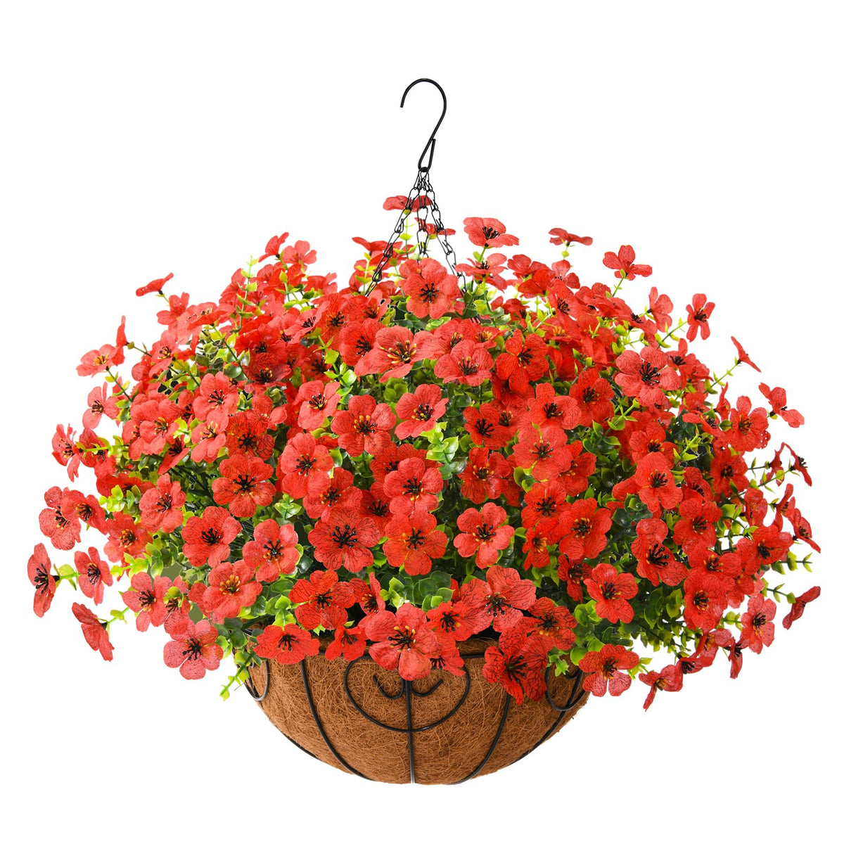 ZFProcess front view of hanging basket showing full daisy arrangement and curb appeal