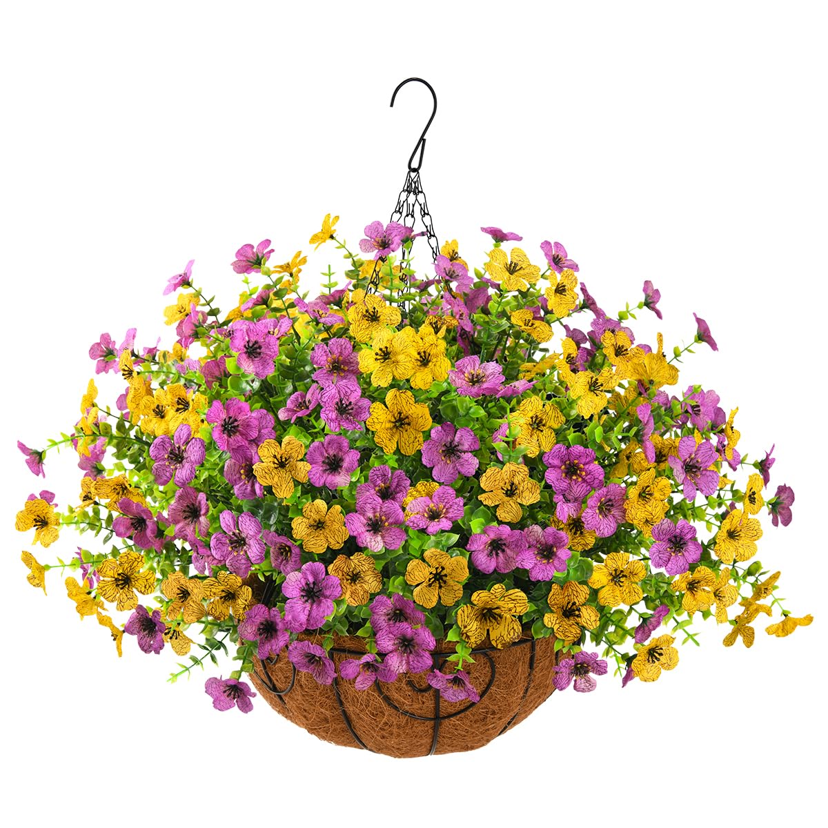 ZFProcess front view of hanging basket showing full bloom and curb appeal