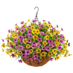 ZFProcess front view of hanging basket showing full bloom and curb appeal