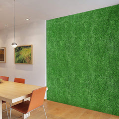 ZGR HOME&GARDEN turf placed at an entryway illustrating clean, mud-free doorway