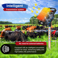 Zhangmengge solar panel close-up capturing improved energy collection