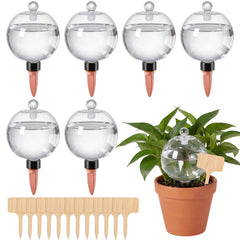 Zhehao front view of full kit showing globes labels and glass covers for convenience