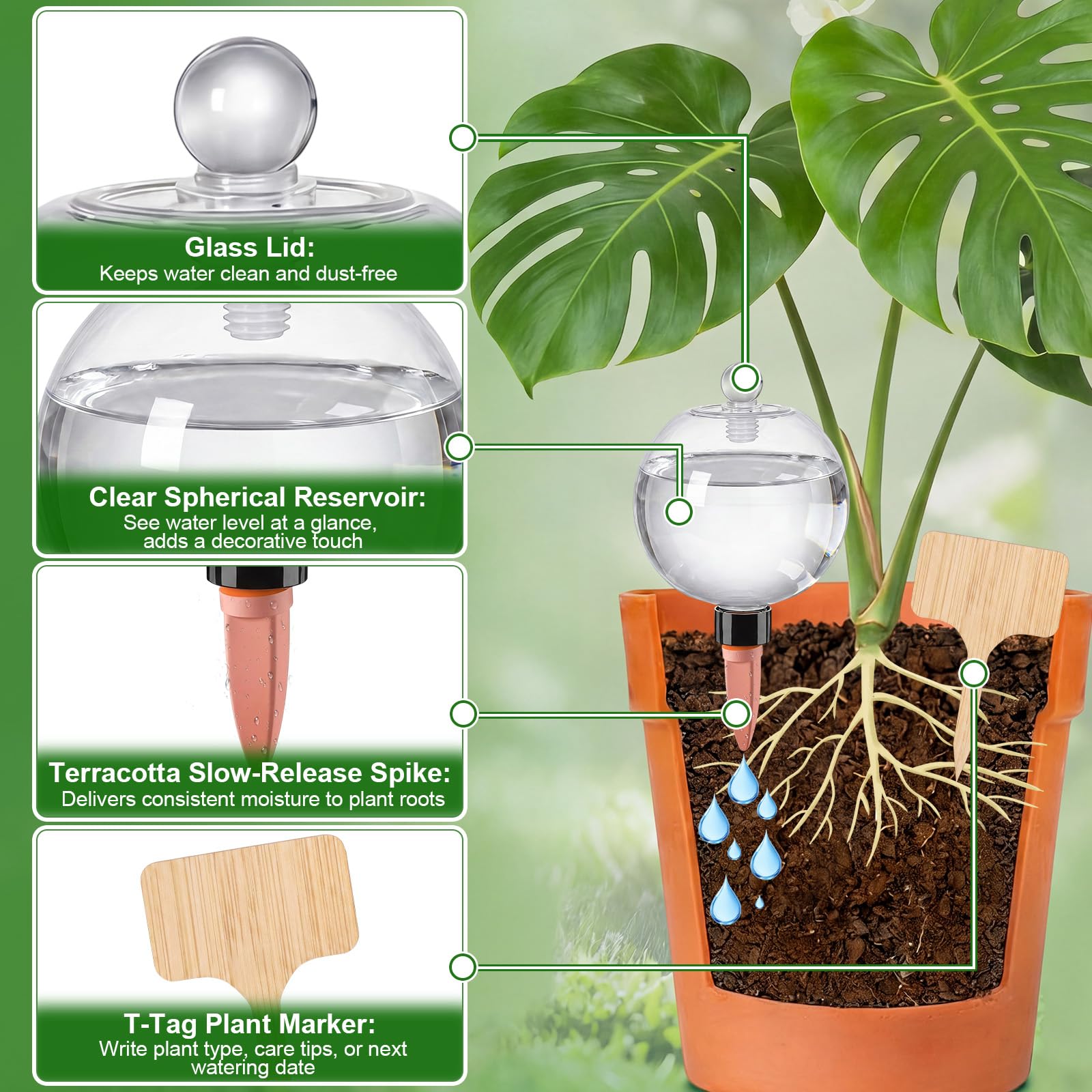 Zhehao top-fill glass lid detail demonstrating easy refill and visible water level