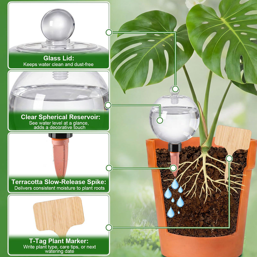 Zhehao top-fill glass lid detail demonstrating easy refill and visible water level