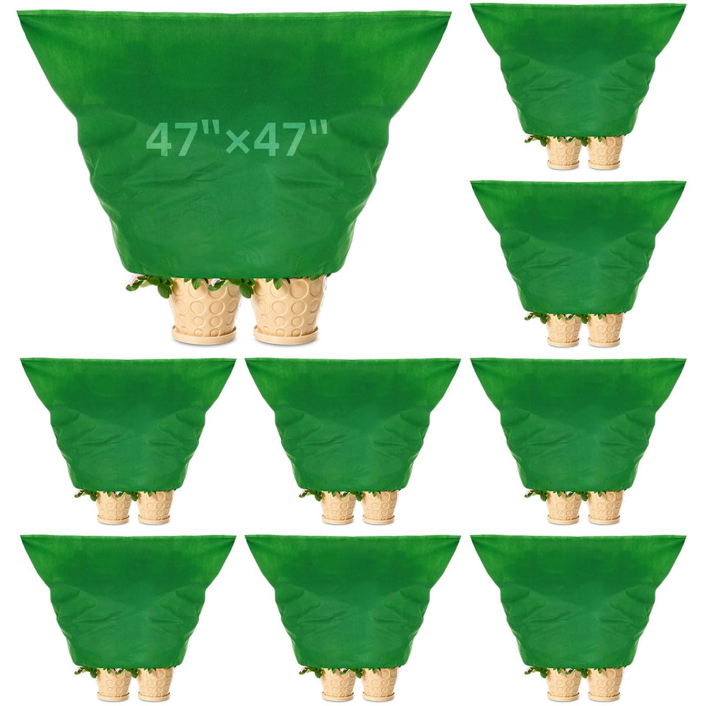 Zhengmy front packaging showing nine green plant covers and quantity benefit