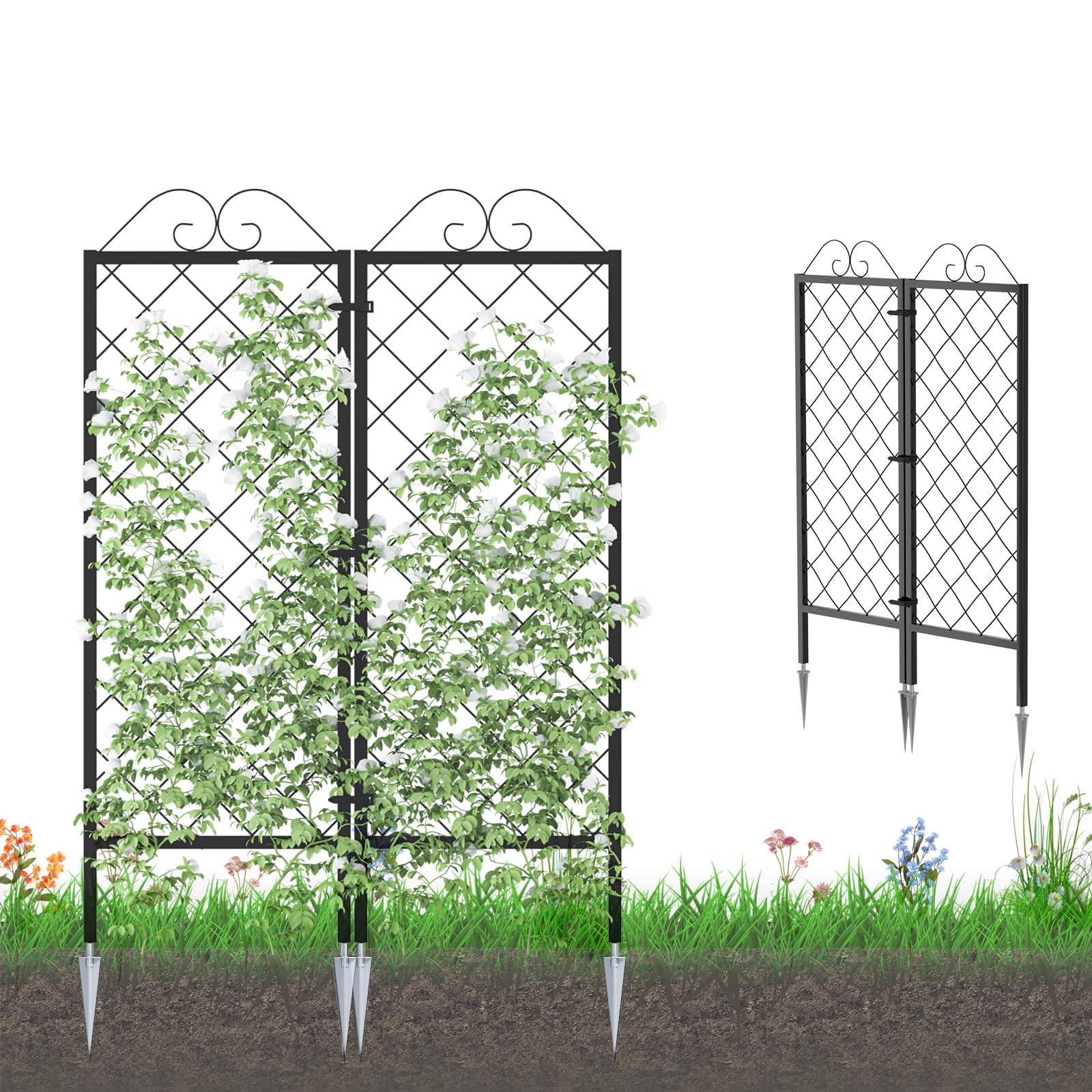 Zhongma front view of two trellises showing sturdy grid and clean finish
