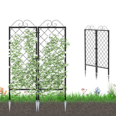 Zhongma front view of two trellises showing sturdy grid and clean finish