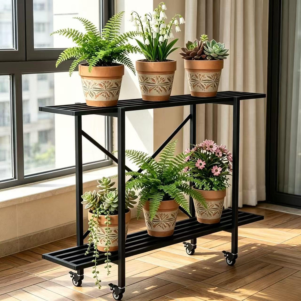 Zhongma front view full stand showing slim footprint and sturdy two-tier display