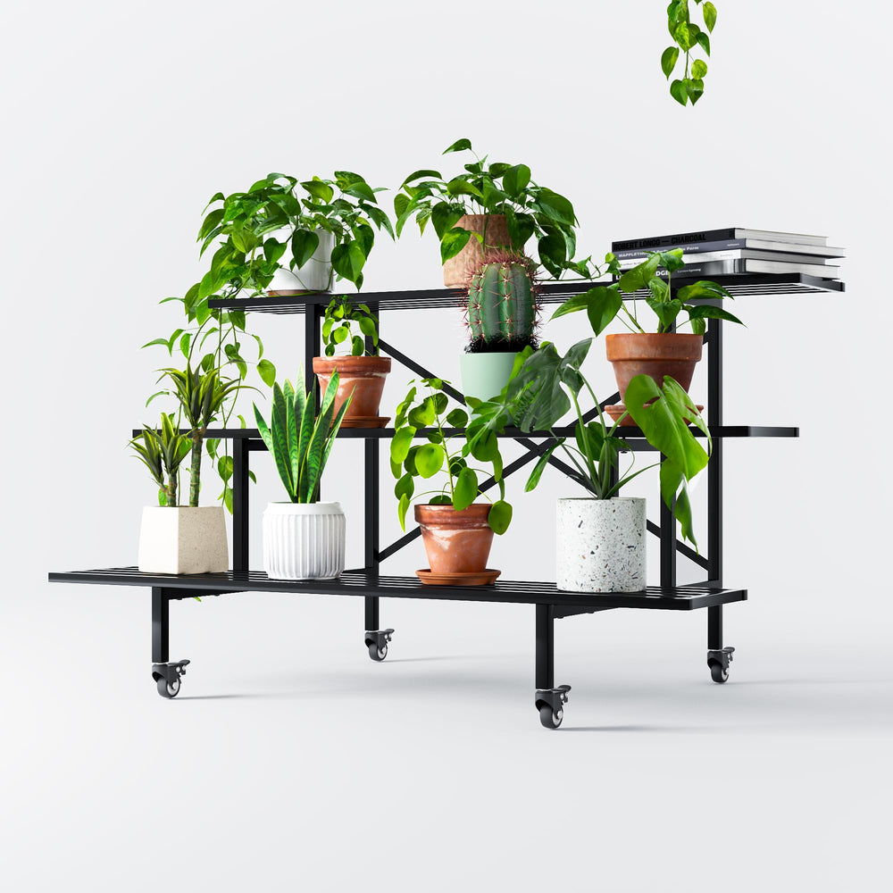 Zhongma on a patio styled with plants showing versatile display benefit