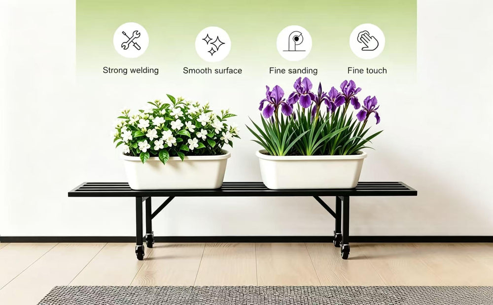 Zhongma in a bright window with multiple plants showing easy mobility and display benefit