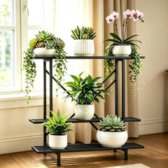 Zhongma front view showing three-tier space-saving plant display and stability