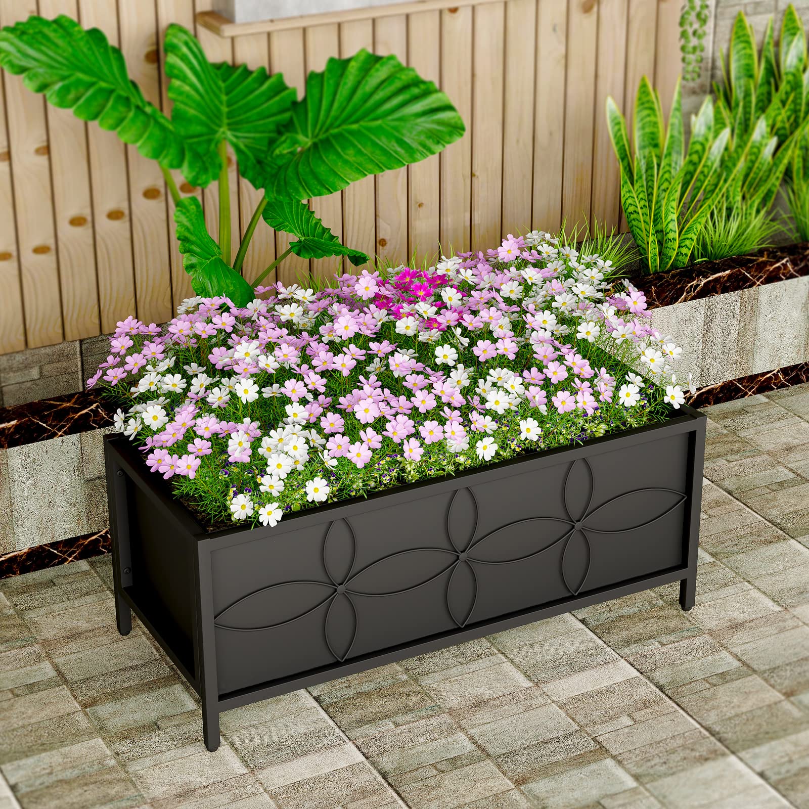 Zhongma vegetables planted in bed showing productive, space-efficient growing