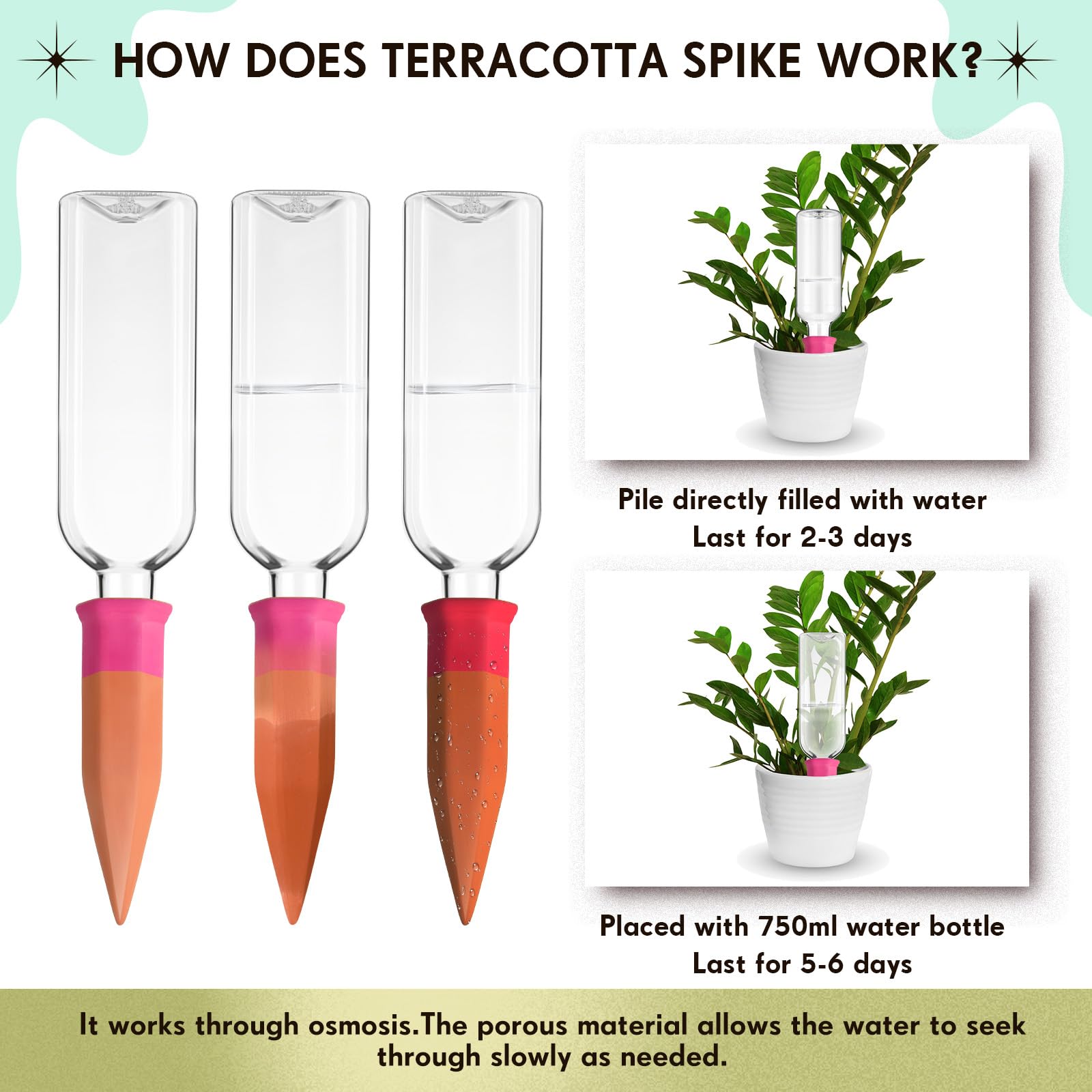 Ziliny bottle and spike installed in a potted plant demonstrating hands-off watering