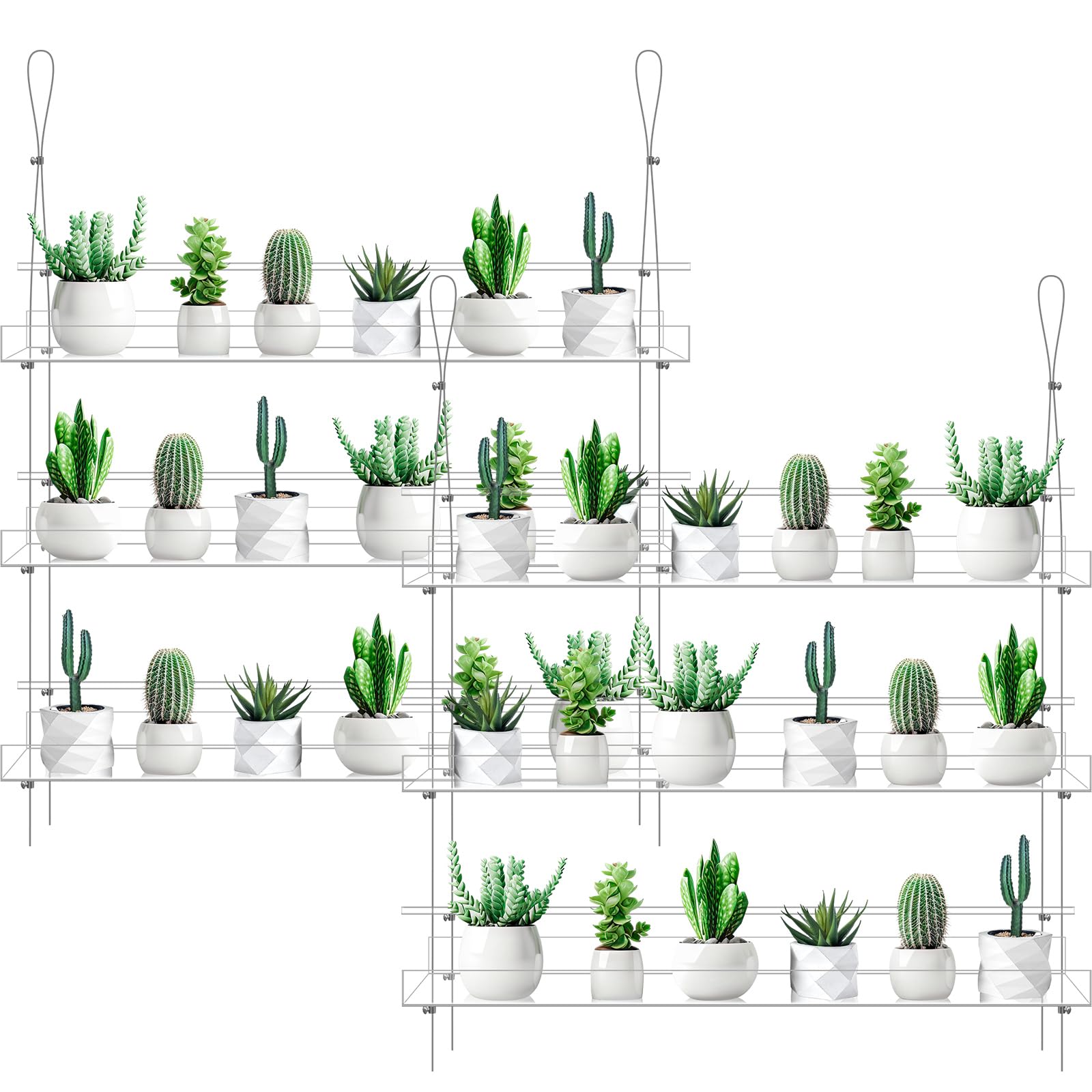 Ziliny clear hanging window plant shelves front view shows neat display and light access