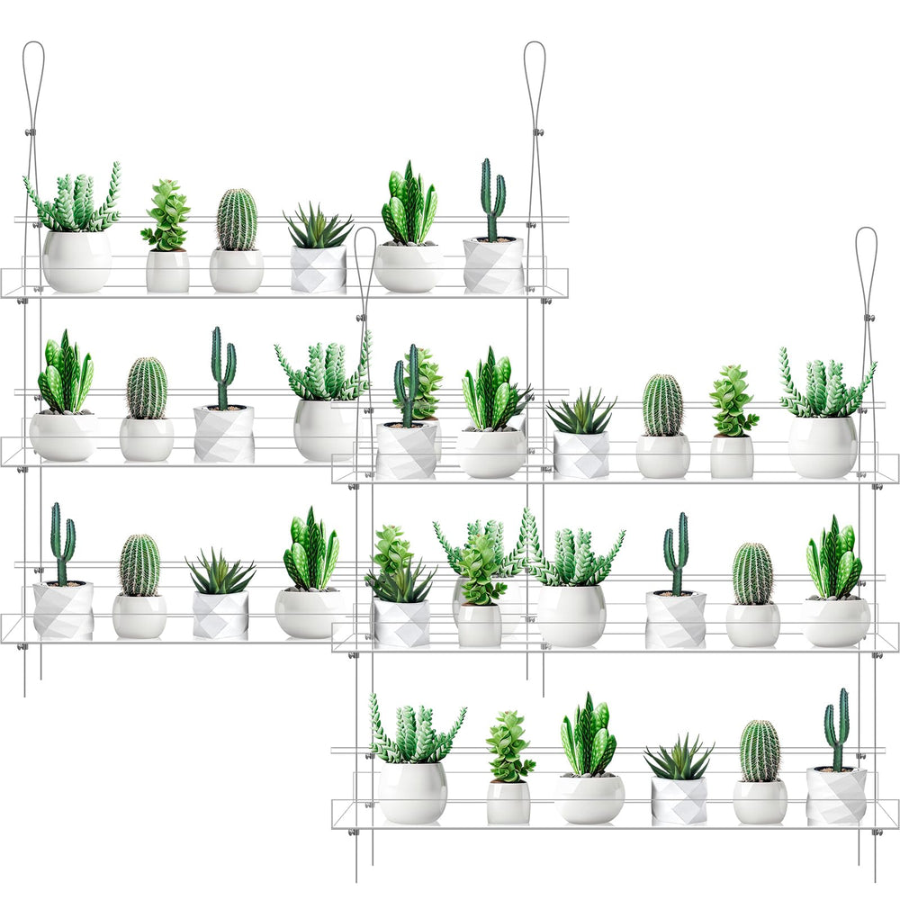 Ziliny clear hanging window plant shelves front view shows neat display and light access