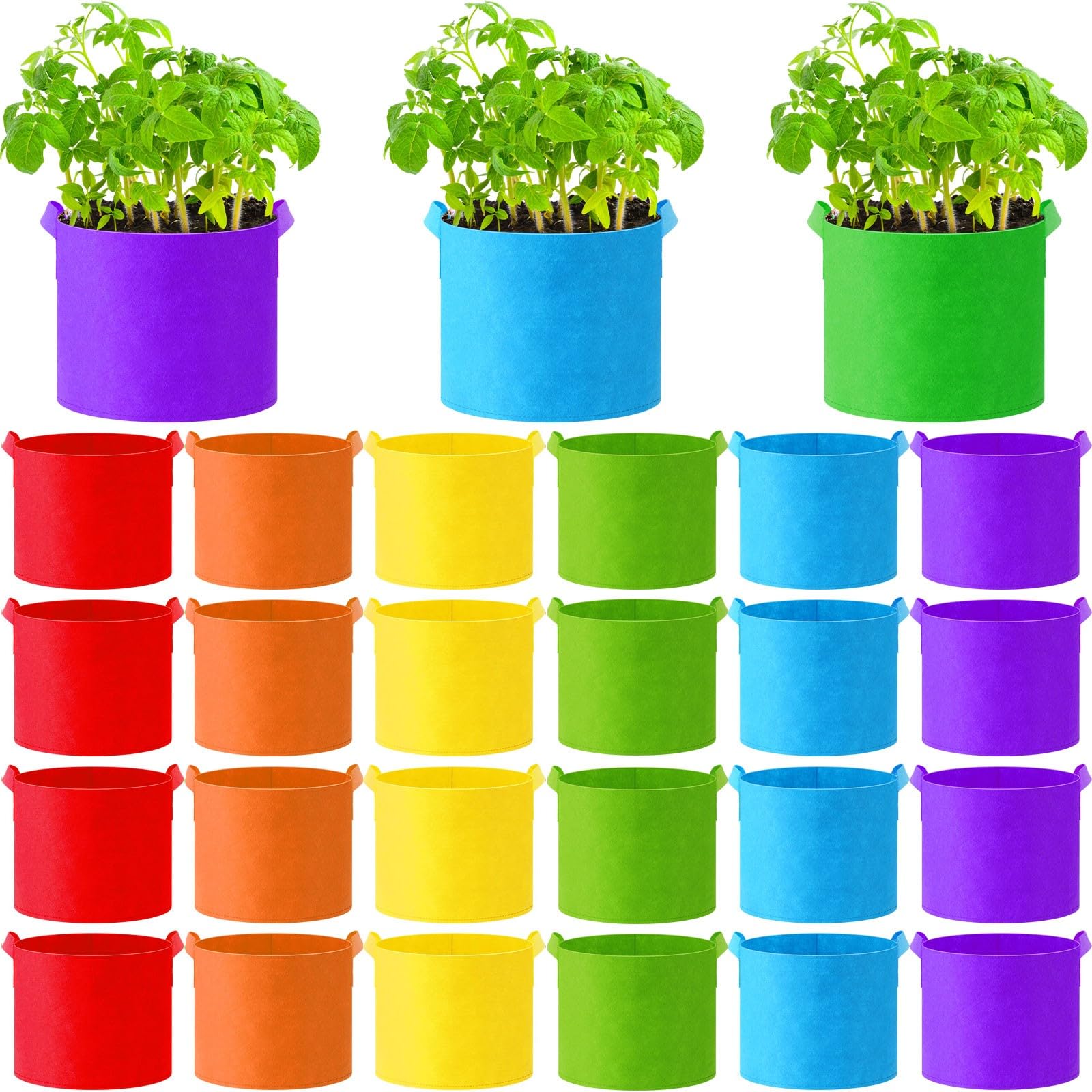 Ziliny front packaging showing 24 colorful grow bags and practical value