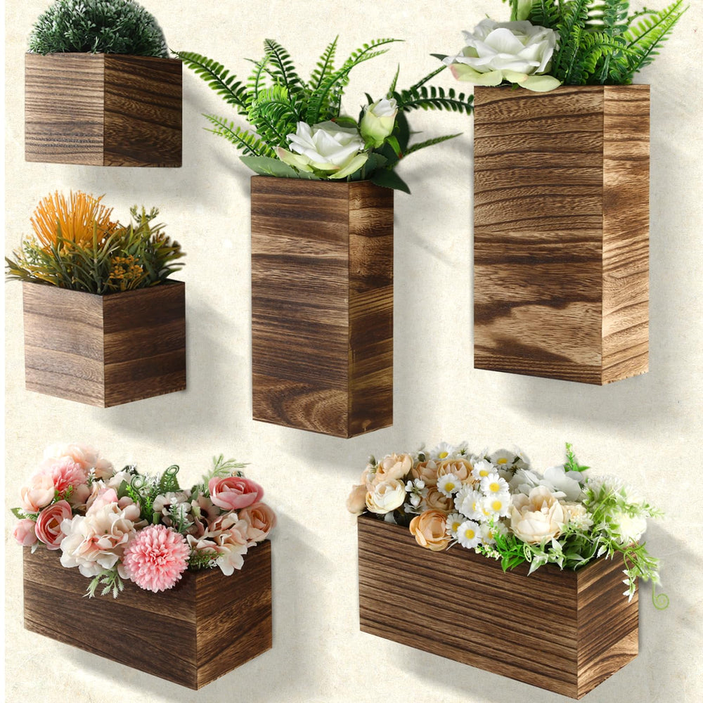 Ziliny front view of six-pack rustic wood planters showing contents and variety benefits display
