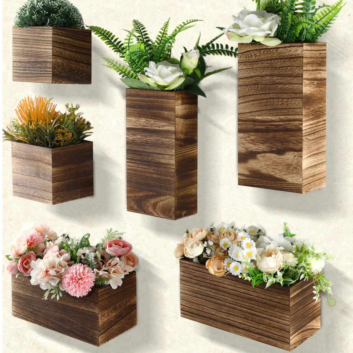 Ziliny front view of six-pack rustic wood planters showing contents and variety benefits display