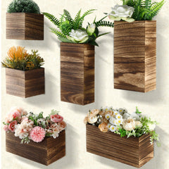 Ziliny front view of six-pack rustic wood planters showing contents and variety benefits display