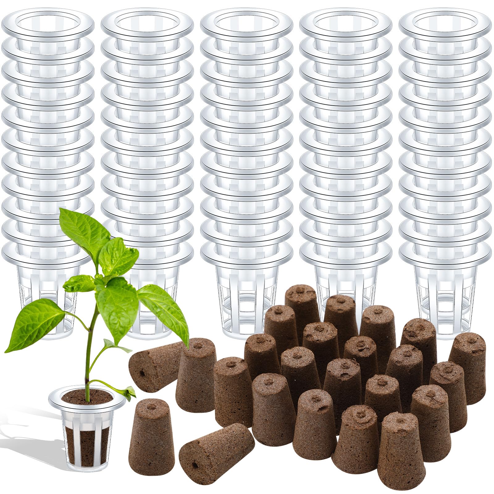 Ziliny front packaging and kit layout showing full 200-piece set for convenient propagation