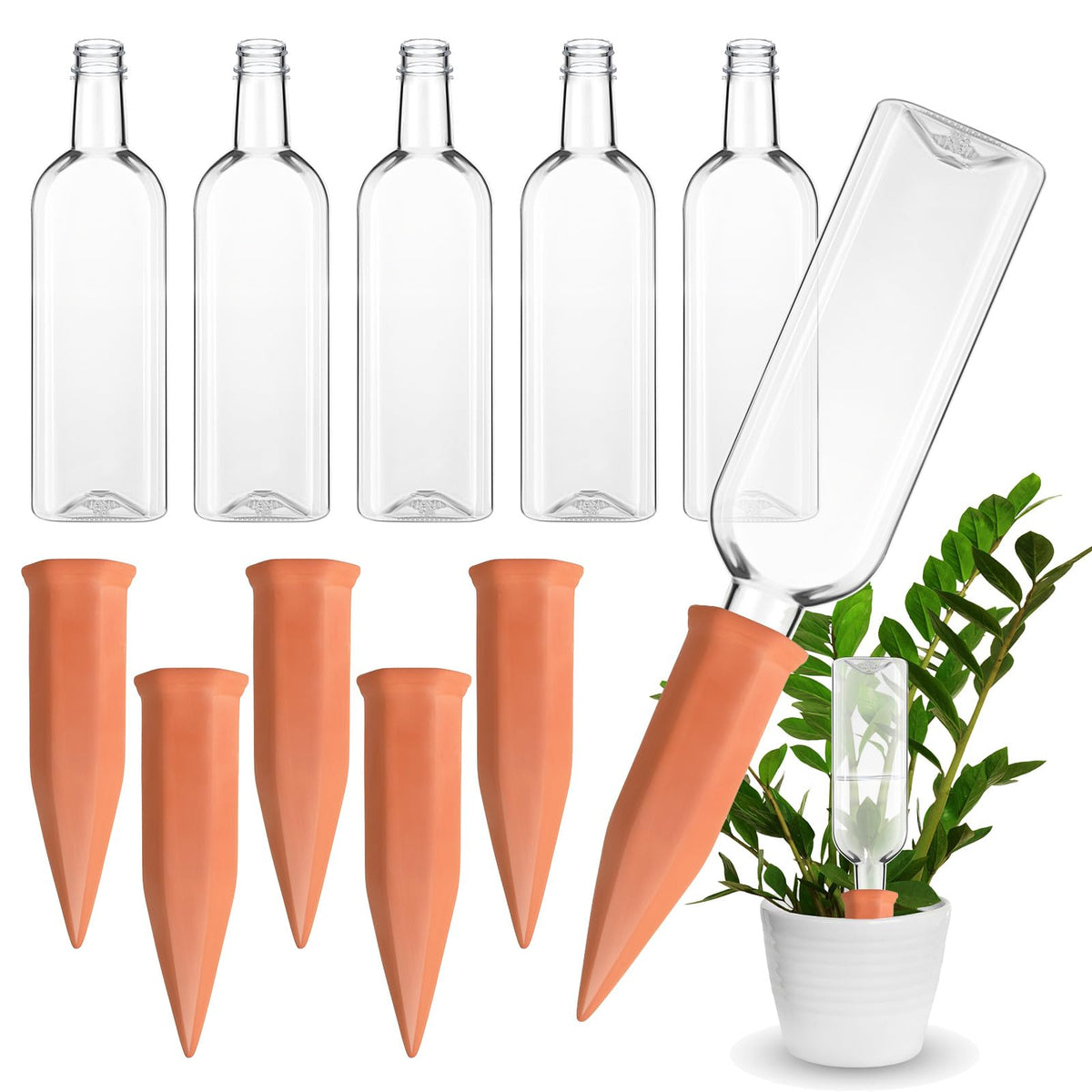 Ziliny front packaging showing six spikes and bottles, clear organization benefit