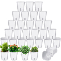 Ziliny front packaging view showing 30 white mini planters and tidy display benefit