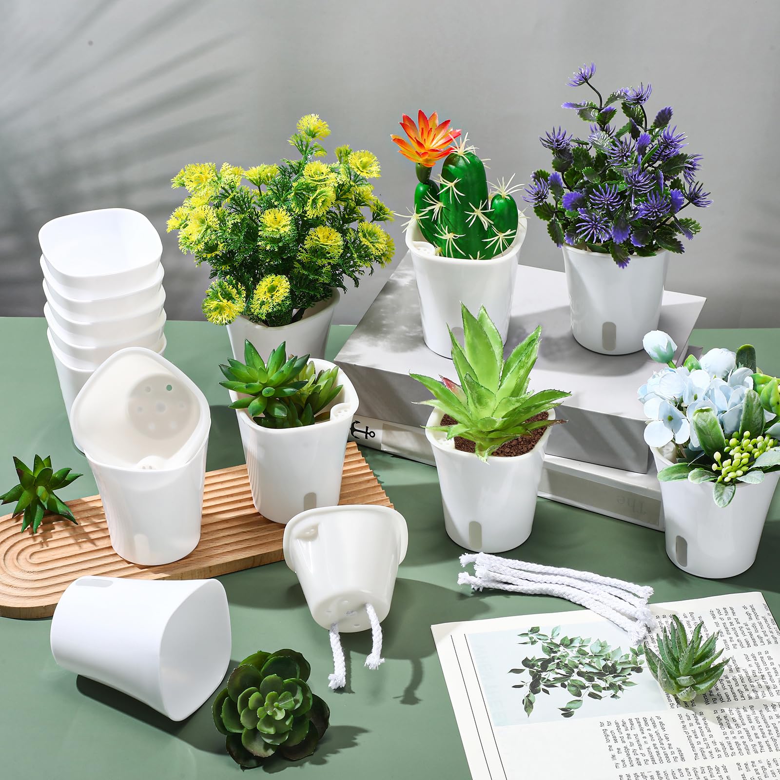 Ziliny fifty planters grouped on a windowsill showing uniform style and space saving