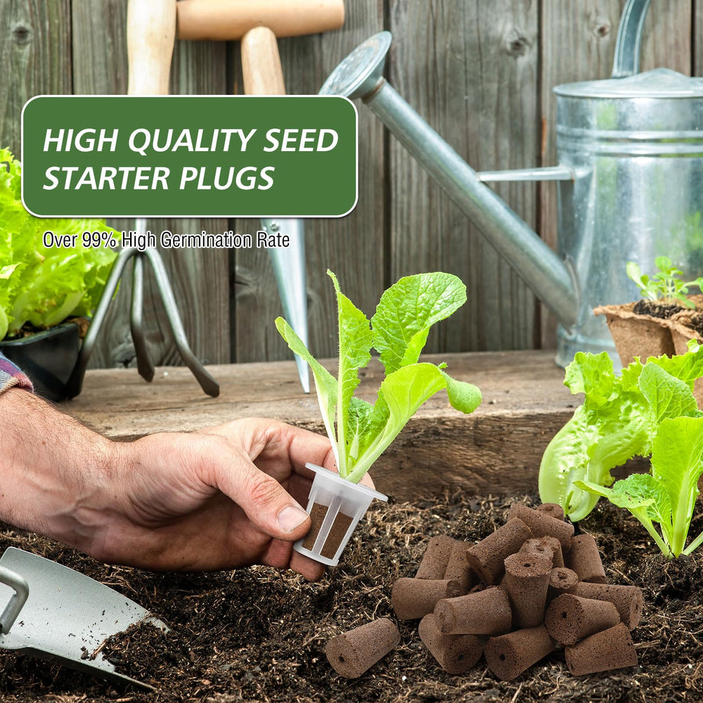 Ziliny in-use shot with seedling in pod illustrating healthy tidy propagation