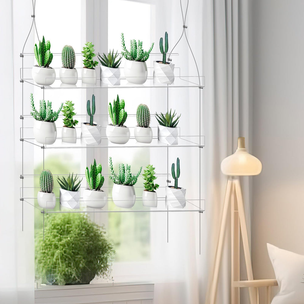 Ziliny lifestyle bedroom window garden adds greenery and brightens indoor space