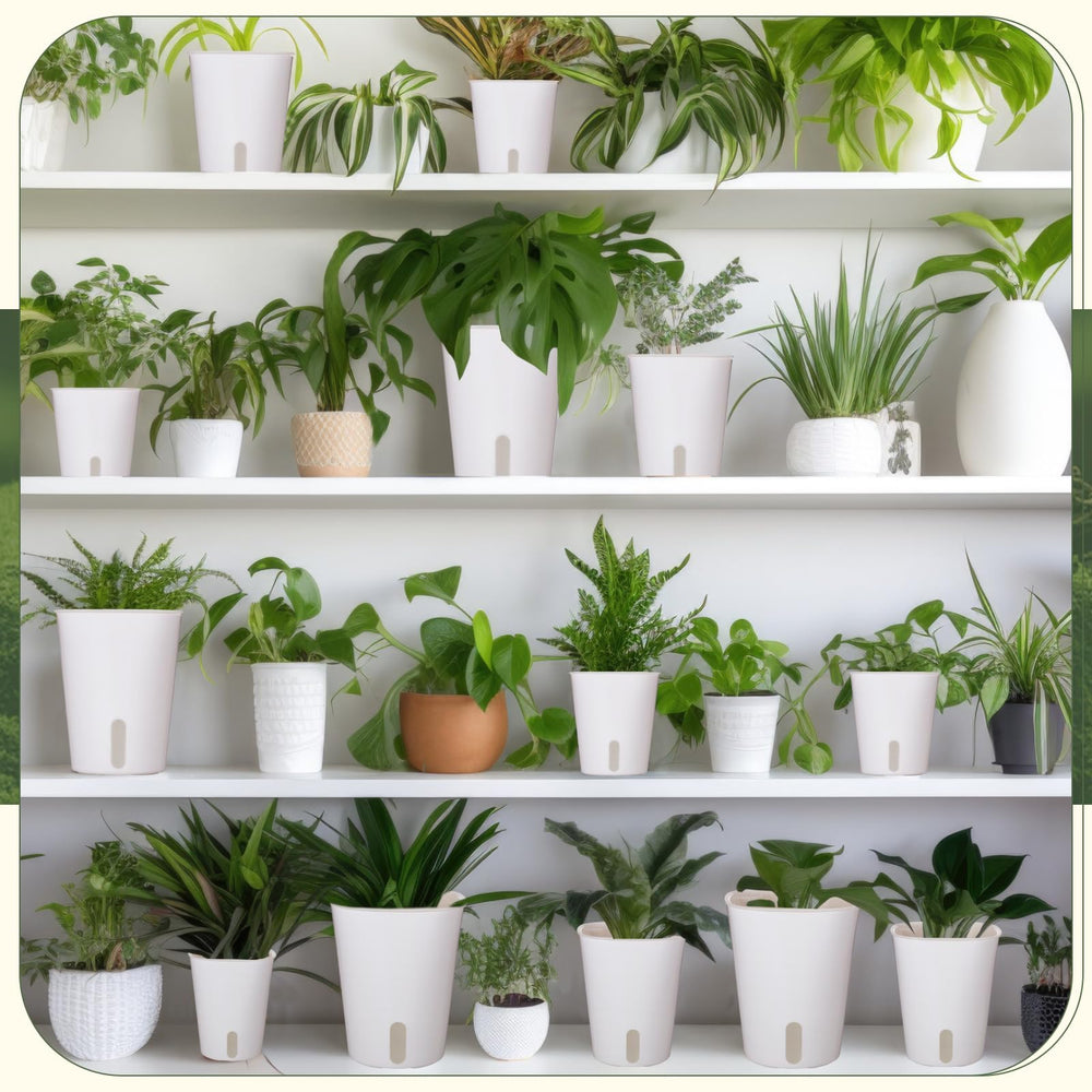 Ziliny lifestyle desk display with plants demonstrating decor and productivity boost