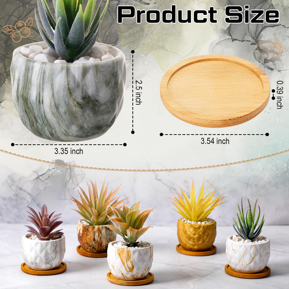 Ziliny pot planted with succulent demonstrating drainage and healthy plant display